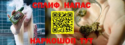 spice Славгород