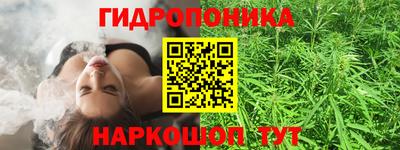 индика Сланцы