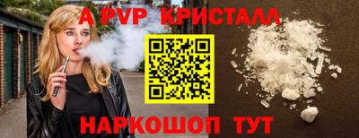 индика Сланцы