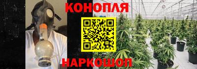 spice Славгород