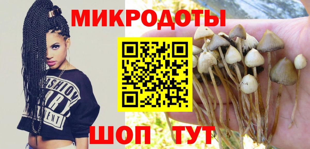 Галлюциногенные грибы Magic Shrooms Чистополь